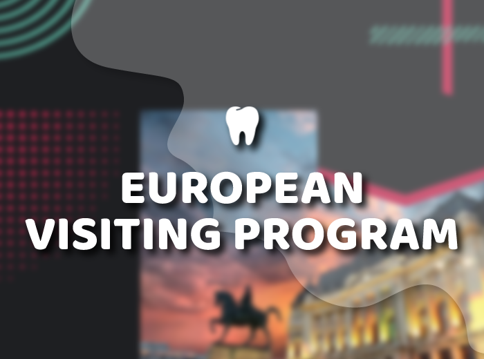 European Visiting Programme